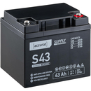 Accurat Supply S43 AGM Batterie de plomb 43 Ah