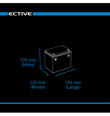 ECTIVE DC 38S AGM Deep Cycle avec LCD-Afficher 38Ah Batteries Dcharge Lente