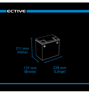 ECTIVE DC 65S AGM Deep Cycle avec LCD-Afficher 65Ah Batteries Dcharge Lente