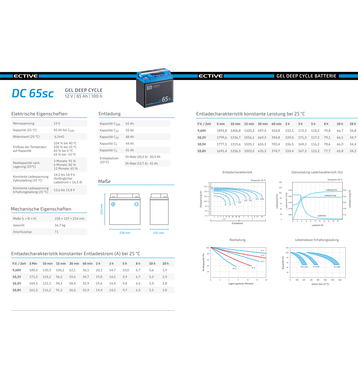 ECTIVE DC 65SC GEL Deep Cycle avec PWM-Chargeur und LCD-Afficher 65Ah Batteries Dcharge Lente