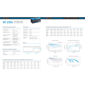 ECTIVE DC 230S GEL Deep Cycle avec LCD-Afficher 230Ah Batteries Dcharge Lente